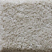 Science 12 Ft. 100% BCF P.E.T. Soft Polyester 33.3 Oz. Carpet - Laboratory