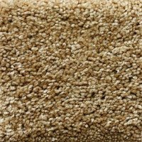 Science 12 Ft. 100% BCF P.E.T. Soft Polyester 33.3 Oz. Carpet - Element