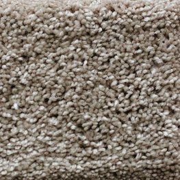 Science 12 Ft. 100% BCF P.E.T. Soft Polyester 33.3 Oz. Carpet - Spectrometer