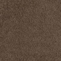 Stars 15 Ft. 100% BCF P.E.T. Polyester 27.5 Oz. Carpet - Liz Taylor