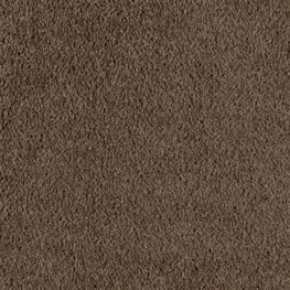 Stars 12 Ft. 100% BCF P.E.T. Soft Polyester 27.5 Oz. Carpet - Liz Taylor