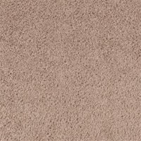 Slam Dunk Too 12 Ft. 100% BCF P.E.T. Polyester 16 Oz. Carpet - DR J