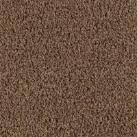 Slam Dunk Too 12 Ft. 100% BCF P.E.T. Polyester 16 Oz. Carpet - King James