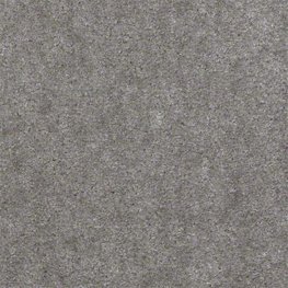 Seven Seas 12 Ft. 100% Continuous Filament Nylon 17.5 Oz. Carpet -Carbon
