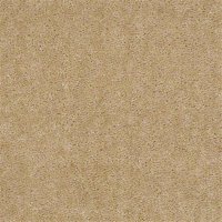 Seven Seas 12 Ft. 100% Continuous Filament Nylon 17.5 Oz. Carpet - Canyons