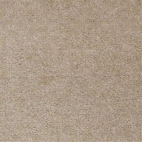 Seven Seas 12 Ft. 100% Continuous Filament Nylon 17.5 Oz. Carpet - Indian Trails