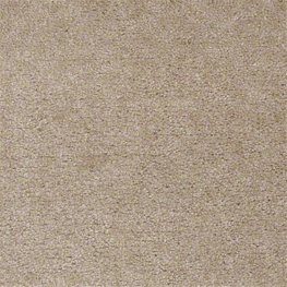 Seven Seas 12 Ft. 100% Continuous Filament Nylon 17.5 Oz. Carpet - Indian Trails