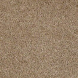 Seven Seas 12 Ft. 100% Continuous Filament Nylon 17.5 Oz. Carpet - Seneca
