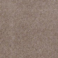 Seven Seas 12 Ft. 100% Continuous Filament Nylon 17.5 Oz. Carpet - Redmond