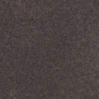 Sweets 15 Ft. 100% BCF P.E.T. Polyester w/Scotchgard 37.2 Oz. Carpet - Licorice