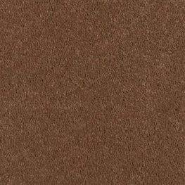 Sweets 12 Ft. 100% BCF P.E.T. Polyester w/Scotchgard 37.2 Oz. Carpet - Skittles