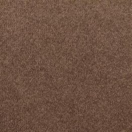 Sweets 12 Ft. 100% BCF P.E.T. Polyester w/Scotchgard 37.2 Oz. Carpet -Hersheys Kiss