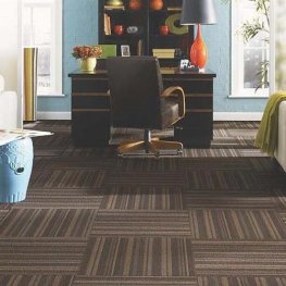 Devils 24" x 24" Solution Dyed Nylon Modular Commercial Carpet Tile - Tracy