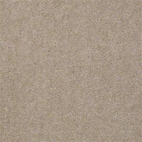 Aspen Classic 12 Ft. 100% Continuous Filament FHA Nylon 25 Oz. Carpet -Old Spice