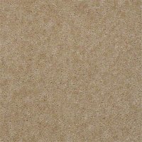 Aspen Classic 12 Ft. 100% Continuous Filament FHA Nylon 25 Oz. Carpet -Pottery Barn