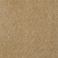 Aspen Classic 12 Ft. 100% Continuous Filament FHA Nylon 25 Oz. Carpet- Mohair