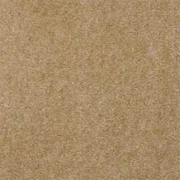 Aspen Classic 12 Ft. 100% Continuous Filament FHA Nylon 25 Oz. Carpet- Mohair