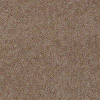 Aspen Classic 12 Ft. 100% Continuous Filament FHA Nylon 25 Oz. Carpet - Snakeskin