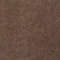 Aspen Classic 12 Ft. 100% Continuous Filament FHA Nylon 25 Oz. Carpet -Shaker