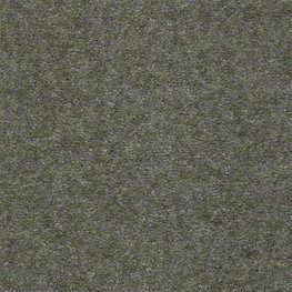 Aspen Classic 12 Ft. 100% Continuous Filament FHA Nylon 25 Oz. Carpet - Boston Fern