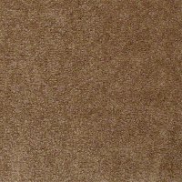 Aspen Classic 12 Ft. 100% Continuous Filament FHA Nylon 25 Oz. Carpet - Dogwood