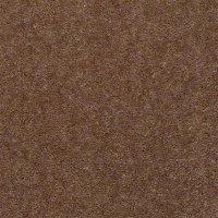 Aspen Classic 12 Ft. 100% Continuous Filament FHA Nylon 25 Oz. Carpet - Auburn