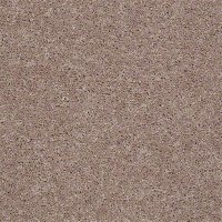 Field Trip 12 Ft. 100% BCF PET Polyester 25 Oz. Carpet - Universal Studios 9618