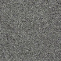 Field Trip 12 Ft. 100% BCF PET Polyester 25 Oz. Carpet - Wet-n-Wild