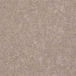 Field Trip 15 Ft. 100% BCF PET Polyester 25 Oz. Carpet - Disney World