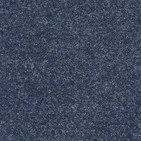 Field Trip 15 Ft. 100% BCF PET Polyester 25 Oz. Carpet - Seaworld