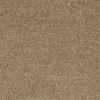 Field Trip 15 Ft. 100% BCF PET Polyester 25 Oz. Carpet - Animal Kingdom