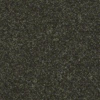 Field Trip 12 Ft. 100% BCF PET Polyester 25 Oz. Carpet -Everglades