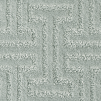 TufTex Rascals 12 Ft. PetProtect Carpet - Corona