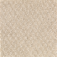 Decaf 12 Ft. 100% BCF P.E.T. Polyester w/Scotchgard 25 Oz. Carpet - 8 Colors