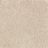 Texture (Plush) Carpet