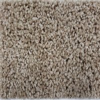 Friends 12 Ft. Solution Dyed Polyester 20 Oz. Carpet - Rachel 3889