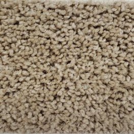 Friends 12 Ft. Solution Dyed Polyester 20 Oz. Carpet - Monica 3891