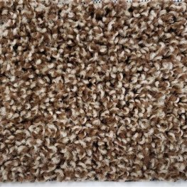 Friends 12 Ft. Solution Dyed Polyester 20 Oz. Carpet - Joey 3894
