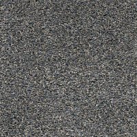 Milestone 12 Ft. 100% Solution Dyed BCF Soft Polyester 40 Oz. Carpet- First Date 3969