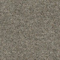 Milestone 12 Ft. 100% Solution Dyed BCF Soft Polyester 40 Oz. Carpet- Dream Job 3970