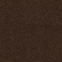 Carnival 12 Ft. Soft BCF Nylon w/Scotchgard 34.3 Oz. Carpet - Fun House