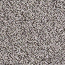 Records 12 Ft. 100% BCF P.E.T. Polyester 25 Oz. Carpet -Moondance