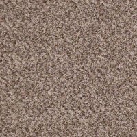 Records 12 Ft. 100% BCF P.E.T. Polyester 25 Oz. Carpet - Tapestry