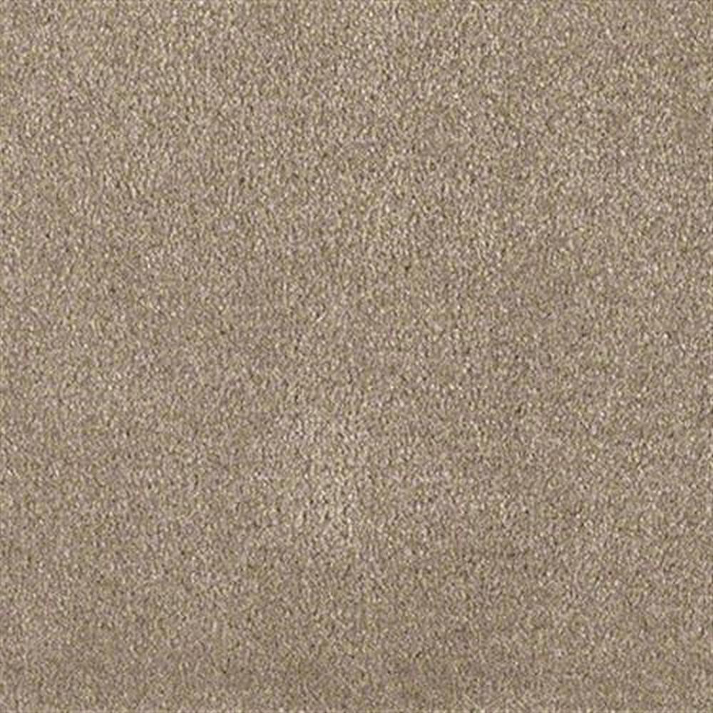 Bonus 12 Ft. 100% Continuous Filament FHA Nylon 25 Oz. Carpet - Present