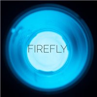 Countertop Epoxy FX Metallic Powder - Firefly