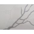 (image for) SOLSTONE Quartz Full Slab 126" x 63" 3cm - Calacatta Super