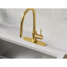PELICAN Kitchen Deck Plate - Brushed Gold