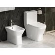 (image for) PELICAN PL-12044 One Piece High-Efficiency Dual Flush Toilet (1.6 gpf / 0.8 gpf)