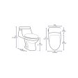 (image for) PELICAN PL-12228 One Piece High-Efficiency Single Flush Toilet (1.28 gpf)