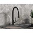 (image for) PELICAN PL-8231 Single Hole Pull Down Kitchen Faucet - Matte Black